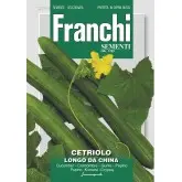 Seminte castraveti Longo da China Franchi Sementi