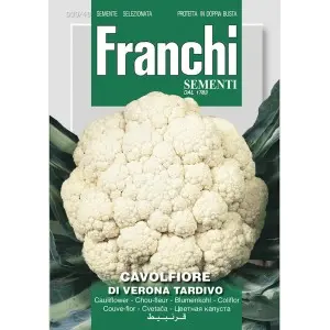 Seminte conopida Di Verona Tardivo Franchi Sementi