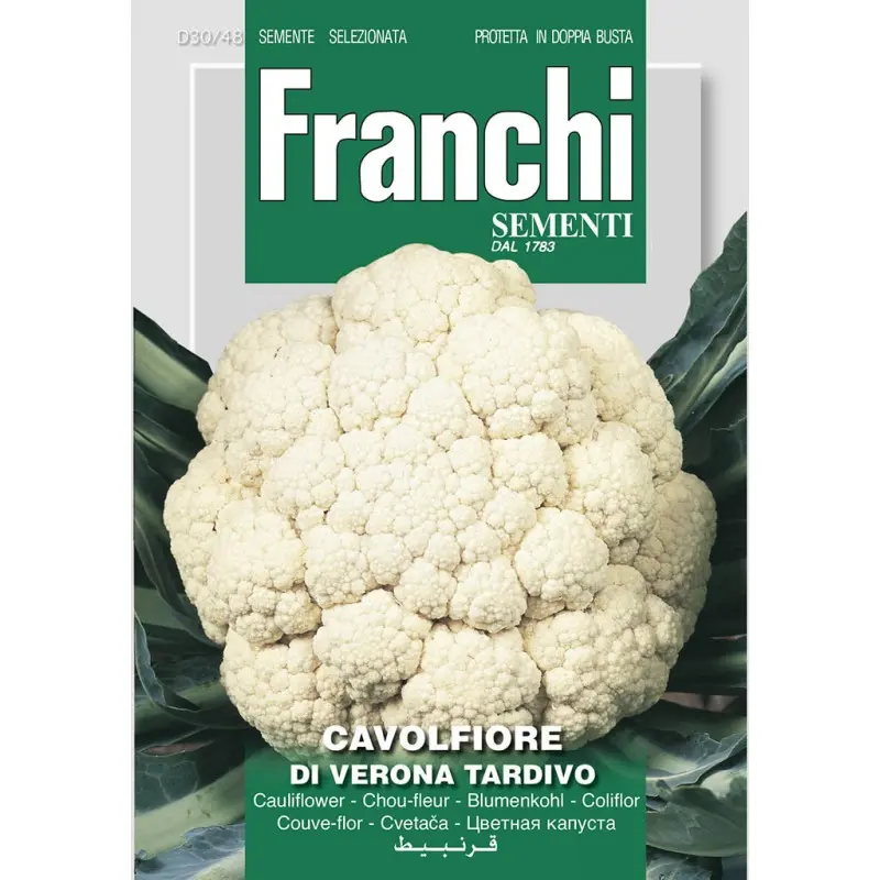 Seminte conopida Di Verona Tardivo Franchi Sementi