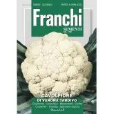 Seminte conopida Di Verona Tardivo Franchi Sementi