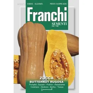 Seminte dovleac Butternut Rugosa Franchi Sementi