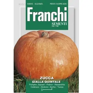 Seminte dovleac Quintale Semme Giallo Franchi Sementi