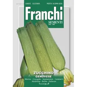 Seminte dovlecel Genovese Franchi Sementi