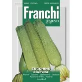 Seminte dovlecel Genovese Franchi Sementi