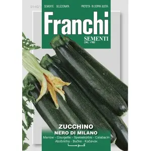 Seminte dovlecel Nero di Milano Franchi Sementi