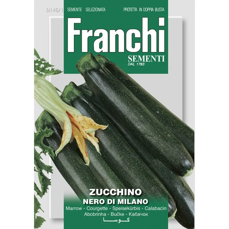 Seminte dovlecel Nero di Milano Franchi Sementi
