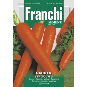 Seminte morcovi Berlicum 2 Franchi Sementi