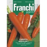 Seminte morcovi Berlicum 2 Franchi Sementi