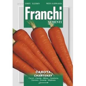 Seminte morcovi Chantenay Franchi Sementi