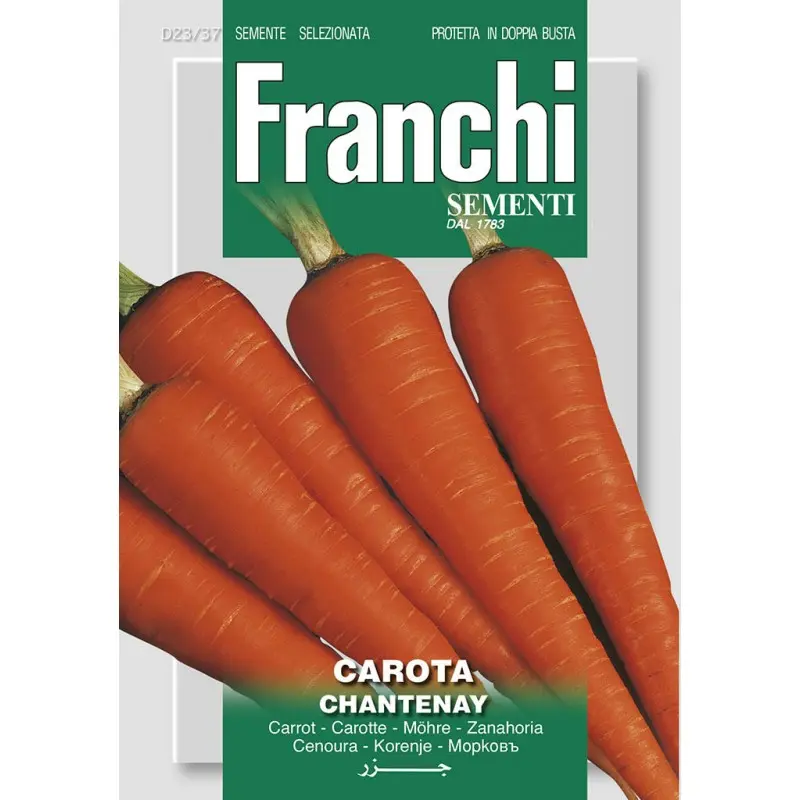Seminte morcovi Chantenay Franchi Sementi