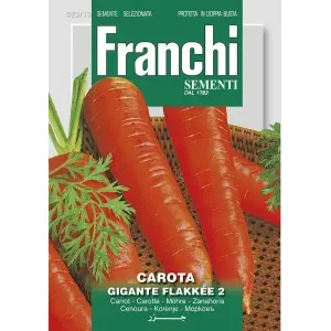 Seminte morcovi Gigante Flakkee 2 Franchi Sementi