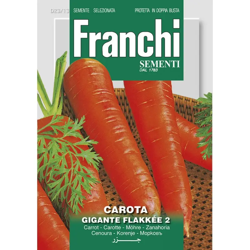 Seminte morcovi Gigante Flakkee 2 Franchi Sementi