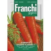 Seminte morcovi Gigante Flakkee 2 Franchi Sementi