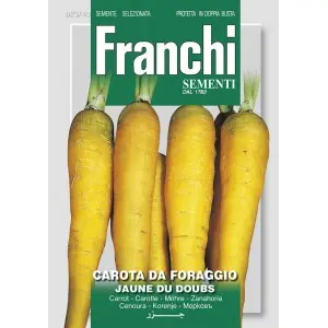 Seminte morcovi Jaune du Doubs Franchi Sementi