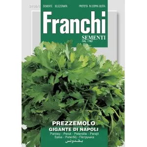 Seminte patrunjel de frunze Gigante din Napoli Franchi Sementi