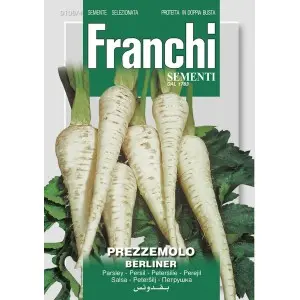 Seminte patrunjel de radacina Halflange Franchi Sementi