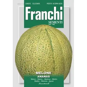 Seminte pepene galben Ananas Franchi Sementi
