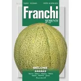 Seminte pepene galben Ananas Franchi Sementi