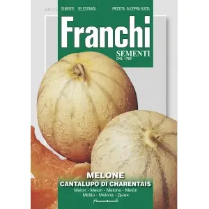 Seminte pepene galben Cantalupo Di Charentais Franchi Sementi