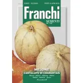 Seminte pepene galben Cantalupo Di Charentais Franchi Sementi
