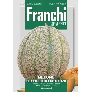 Seminte pepene galben Retato Degli Ortolani Franchi Sementi