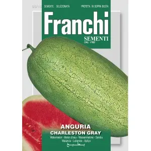 Seminte pepene verde Charleston Gray Franchi Sementi