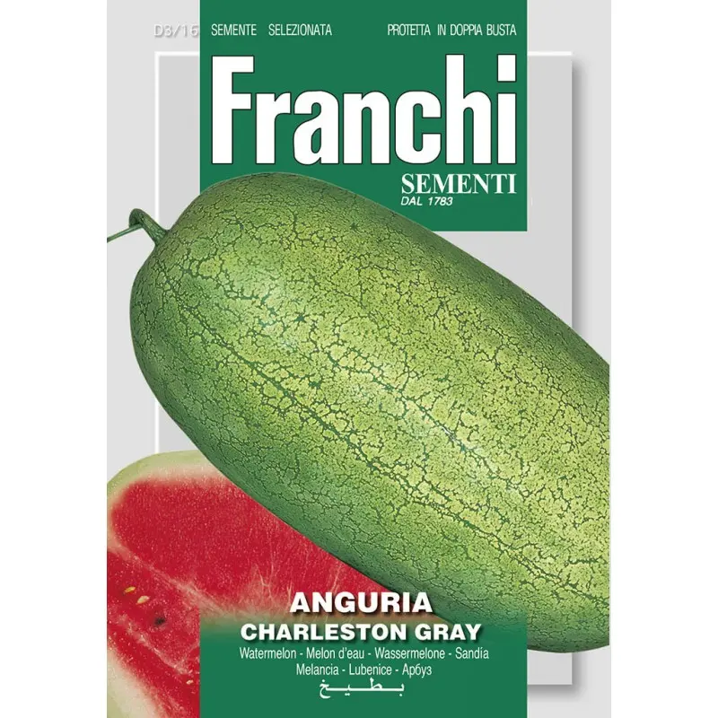 Seminte pepene verde Charleston Gray Franchi Sementi
