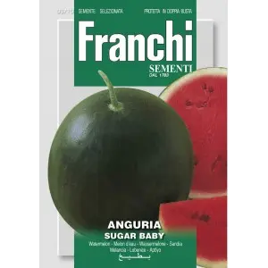 Seminte pepene verde Sugar Baby Franchi Sementi