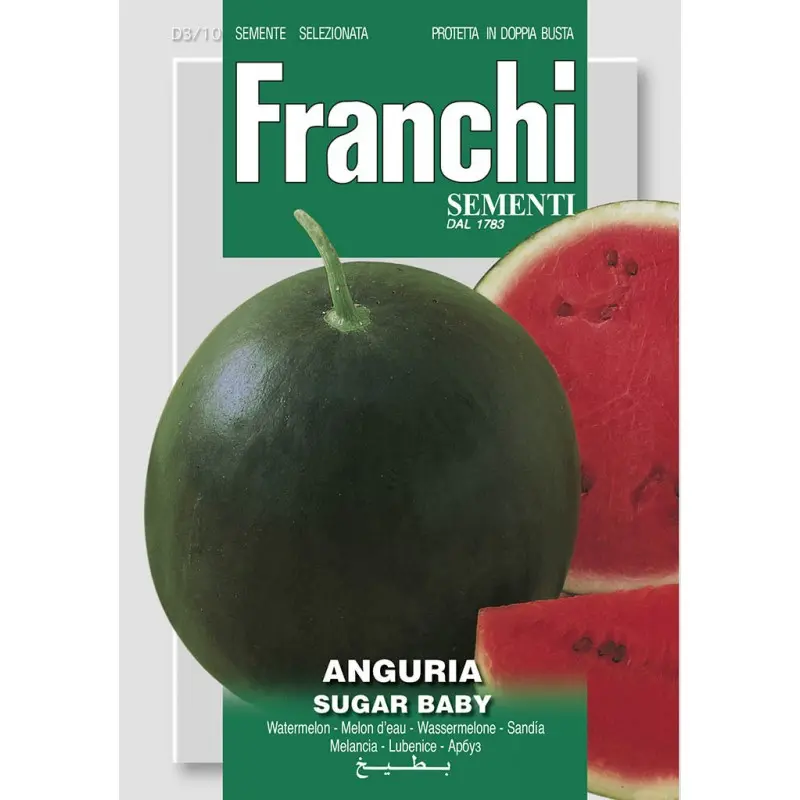 Seminte pepene verde Sugar Baby Franchi Sementi