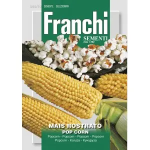 Seminte porumb Popcorn Franchi Sementi