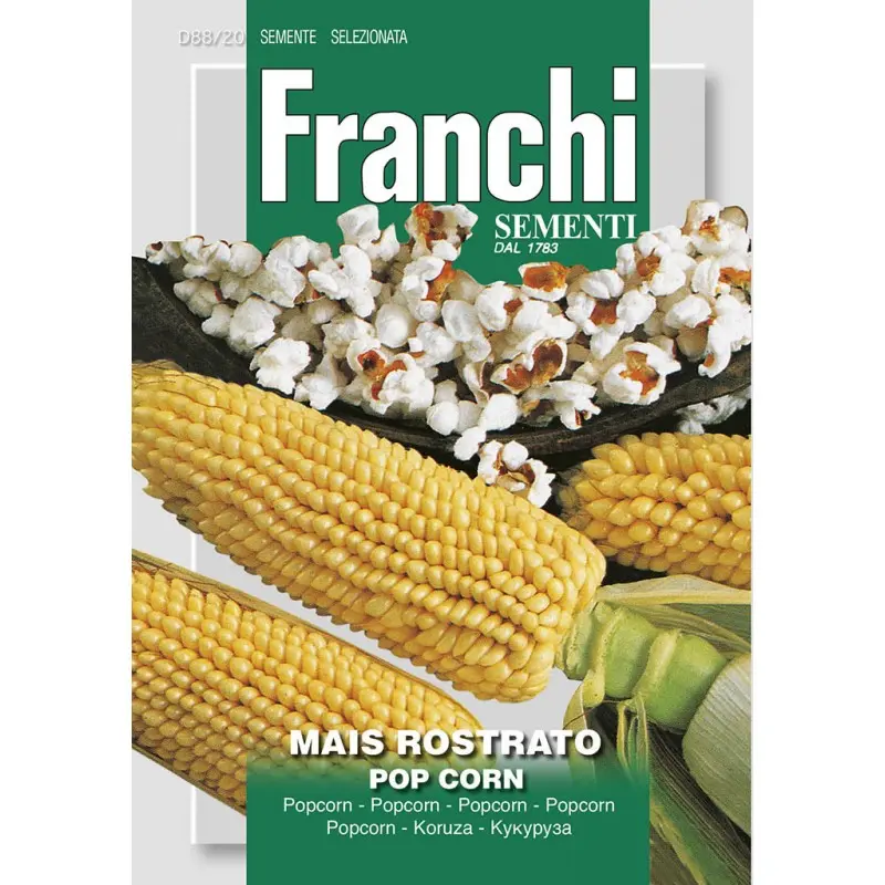 Seminte porumb Popcorn Franchi Sementi