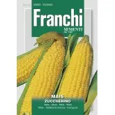 Seminte porumb zaharat Zuccherino Franchi Sementi