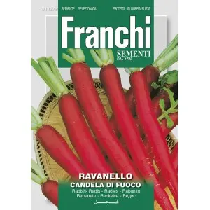 Seminte ridichi Candela di Fuoco Franchi Sementi
