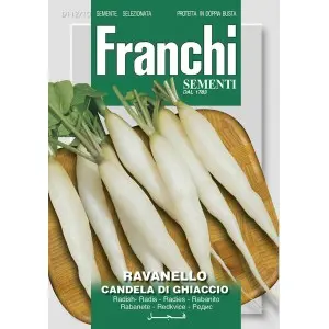 Seminte ridichi Candela di Ghiaccio Franchi Sementi