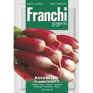 Seminte ridichi de luna Flamboyant 3 Franchi Sementi
