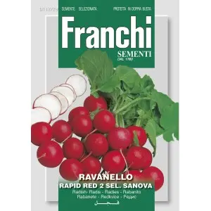 Seminte ridichi de luna Rapid Red 2 sel. Sanova Franchi Sementi