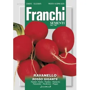Seminte ridichi de luna Rosso Gigante Franchi Sementi