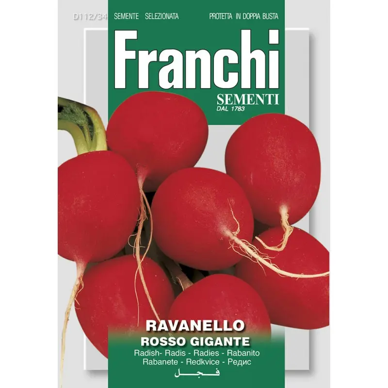Seminte ridichi de luna Rosso Gigante Franchi Sementi