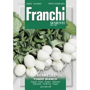Seminte ridichi de luna Tondo Bianco Franchi Sementi