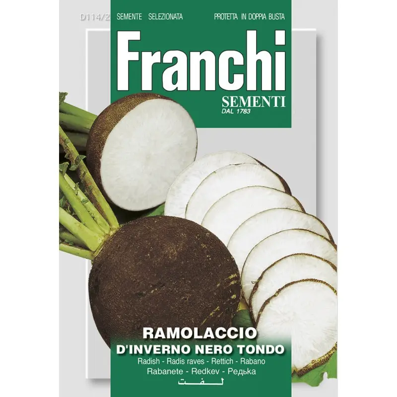 Seminte ridichi negre Nero Tondo D'inverno Franchi Sementi