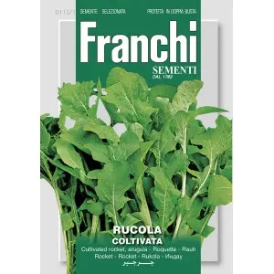 Seminte rucola Coltivata Franchi Sementi