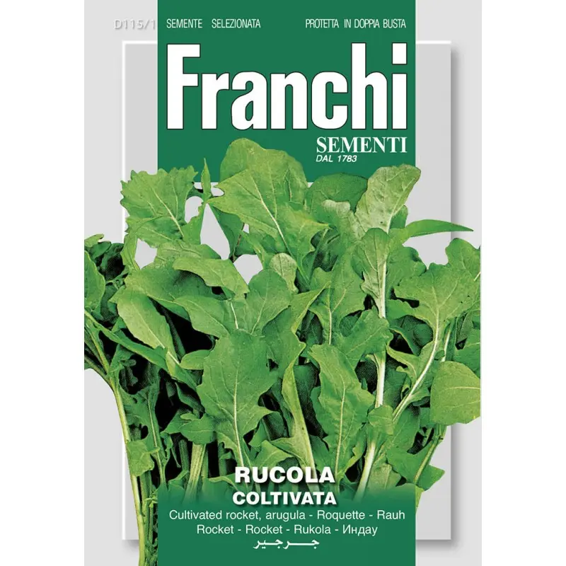 Seminte rucola Coltivata Franchi Sementi