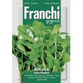 Seminte rucola Coltivata Franchi Sementi