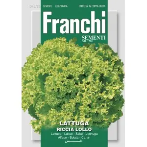 Seminte salata creata Lollo Franchi Sementi