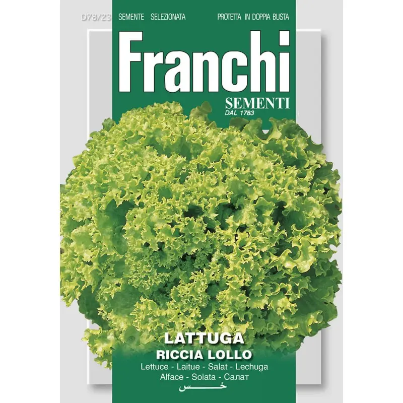 Seminte salata creata Lollo Franchi Sementi