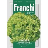 Seminte salata creata Lollo Franchi Sementi
