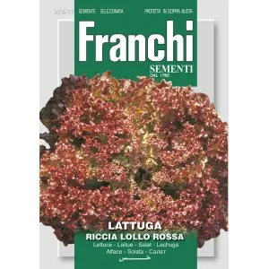 Seminte salata creata Lollo Rossa Franchi Sementi