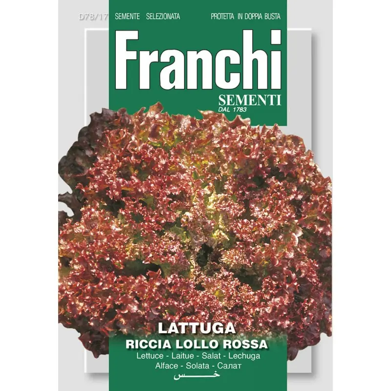 Seminte salata creata Lollo Rossa Franchi Sementi