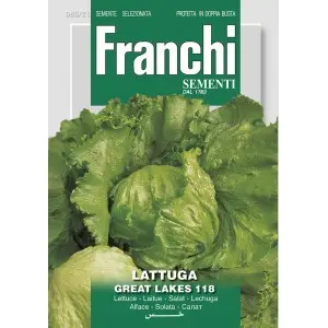 Seminte salata iceberg Great Lakes 118 Franchi Sementi
