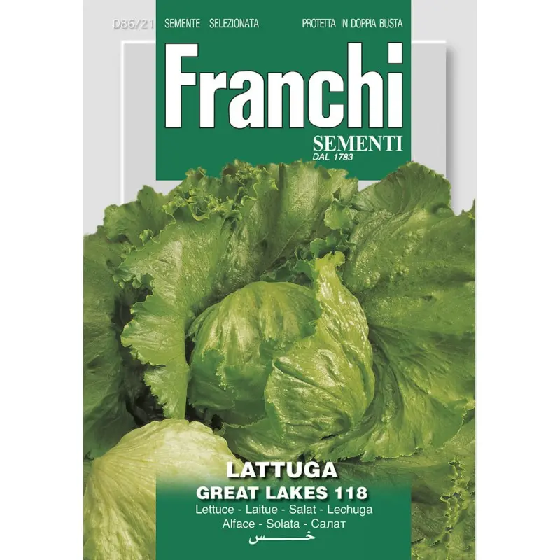 Seminte salata iceberg Great Lakes 118 Franchi Sementi